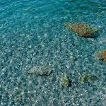 Excelsior Palace Portofino Coast Hotel Rapallo